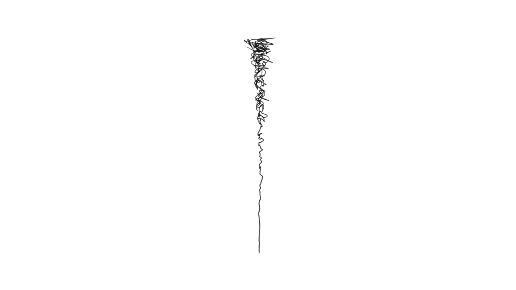 a continuum of surface shaping possibilities